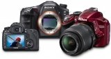 Systeemcamera of spiegelreflexcamera: wat is het beste voor jou?
