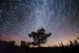 Beste time lapse camera kopen? | TOP 5 + reviews